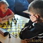 Fotka nr 2 z 131