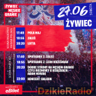 zdjęcie nr 10