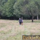 zdjęcie nr 80