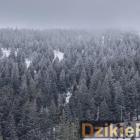 zdjęcie nr 7