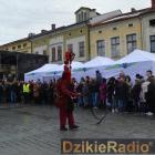 zdjęcie nr 265