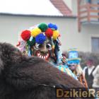 zdjęcie nr 405