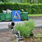 zdjęcie nr 90