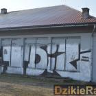 zdjęcie nr 7