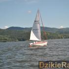 zdjęcie nr 224
