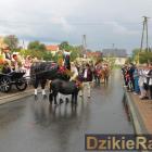 zdjęcie nr 252