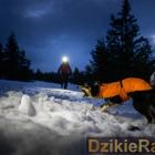 zdjęcie nr 11