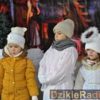 zdjęcie nr 75
