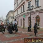 zdjęcie nr 7