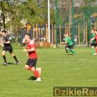 zdjęcie nr 77