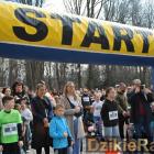 zdjęcie nr 26