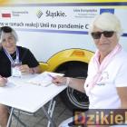 zdjęcie nr 11