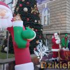 zdjęcie nr 12