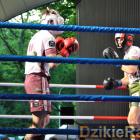 zdjęcie nr 56