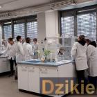 zdjęcie nr 10