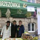 zdjęcie nr 10