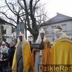 zdjęcie nr 377