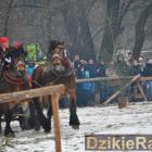 zdjęcie nr 79