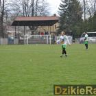 zdjęcie nr 13