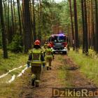 zdjęcie nr 9