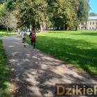 zdjęcie nr 81