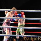 zdjęcie nr 226