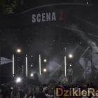 zdjęcie nr 21