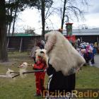 zdjęcie nr 54