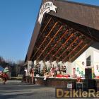 zdjęcie nr 175