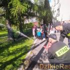 zdjęcie nr 30