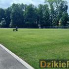 zdjęcie nr 9