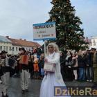zdjęcie nr 180