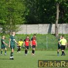 zdjęcie nr 135