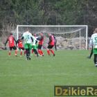 zdjęcie nr 54