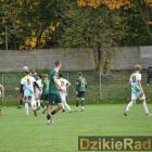 zdjęcie nr 104
