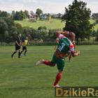 Fotka nr 1 z 283