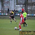 zdjęcie nr 13