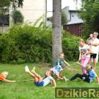 zdjęcie nr 11
