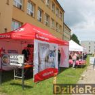 zdjęcie nr 25