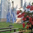 zdjęcie nr 94