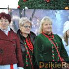 zdjęcie nr 93