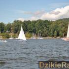 zdjęcie nr 81
