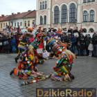 zdjęcie nr 314