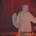 zdjęcie nr 173