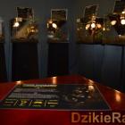 zdjęcie nr 15