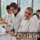 Fotka nr 4 z 9