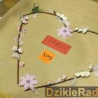 zdjęcie nr 112