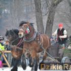 zdjęcie nr 88