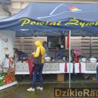 zdjęcie nr 78