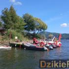 zdjęcie nr 169